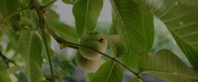 Dezvoltarea de metode și tehnologii inovatoare